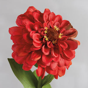 Red Zinnia Pick