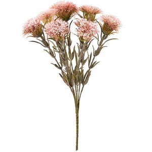 Pink Thistle Pick