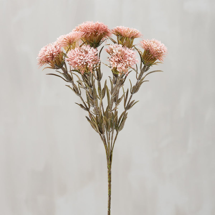 Pink Thistle Pick