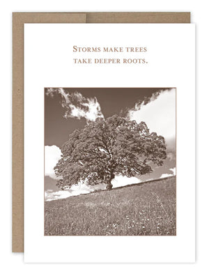 "Deeper Roots" - Shannon Martin Encouragement Cards