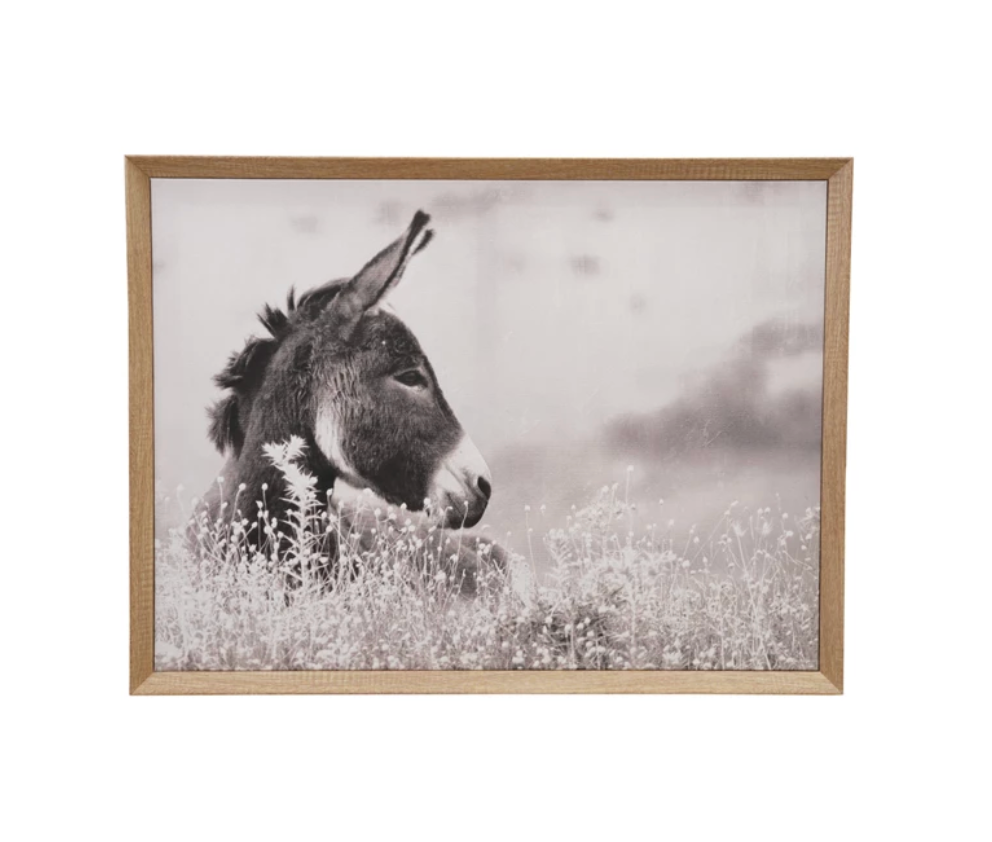 MDF Framed Canvas Wall Décor with Donkey Photography