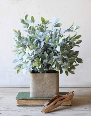 Artificial Sage Bush In a Square Pot