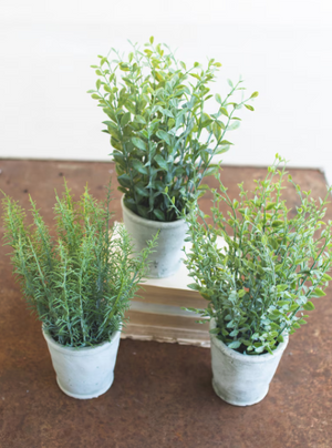 Artificial Herbs In Cement Pots