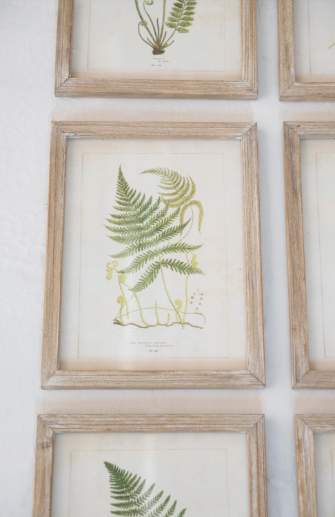 Wood Framed Glass Wall Décor with Fern Fronds Image