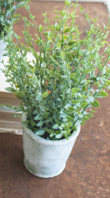 Artificial Herbs In Cement Pots