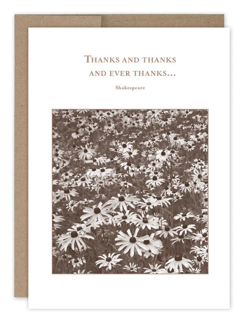 "Ever Thanks" - Shannon Martin Thank You Cards