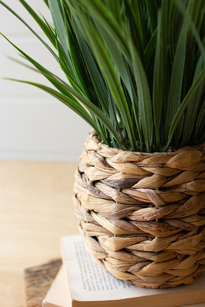 Artificial Plant in a Woven Planter