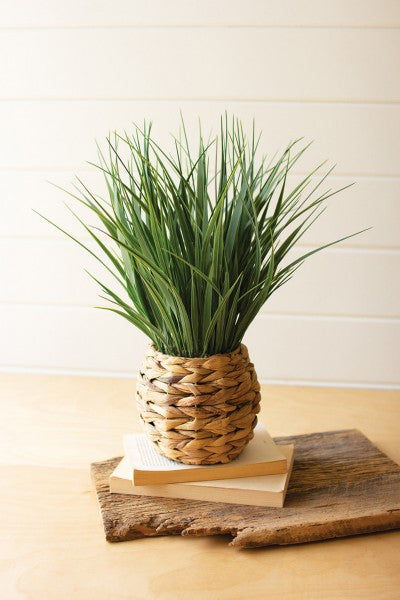 Artificial Plant in a Woven Planter