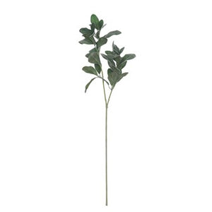 Faux Lemon Leaf Branch