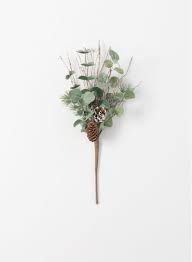 Eucalyptus Pine Cone Pick