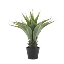 Faux Agave Plant in Pot